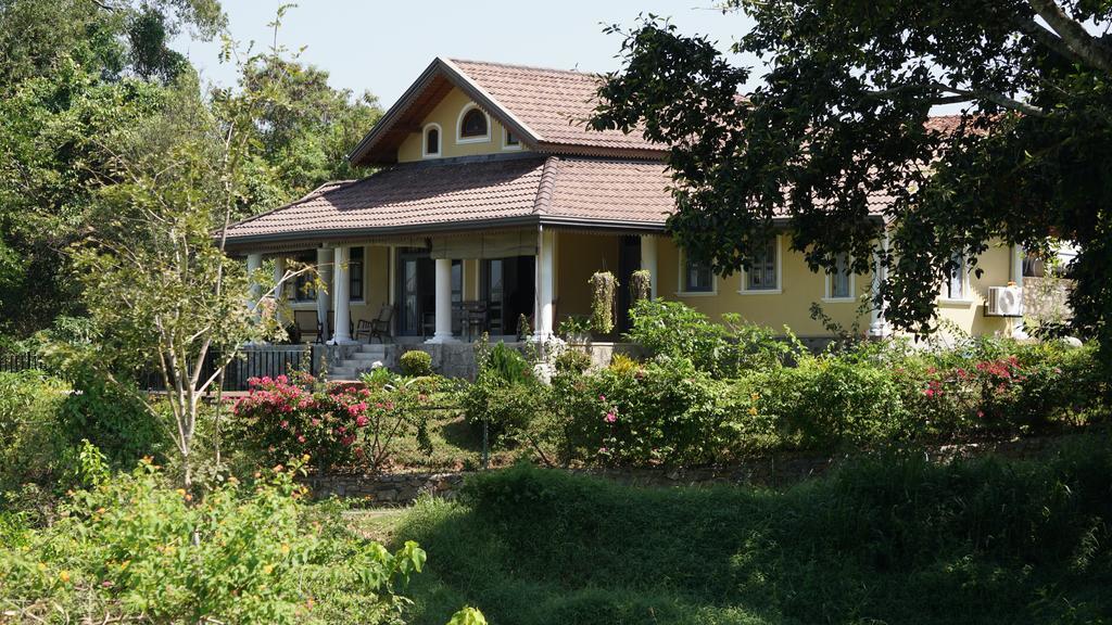 Villa Tee Four Digana Bagian luar foto